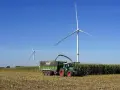 Zielone Fendt 310 z przyczepą zbiera kukurydzę pod wiatrakami. Dane techniczne tej maszyny pozwalają na wydajną pracę.