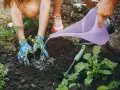 Dzieci sadzą rośliny, podlewając je konewką. Widać narzędzia ogrodnicze i przygotowaną do głębokiej orki ziemię.