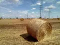 Pole pełne słomy, gdzie każdy balot, choć nie wiemy ile waży, stanowi część krajobrazu pod liniami energetycznymi.