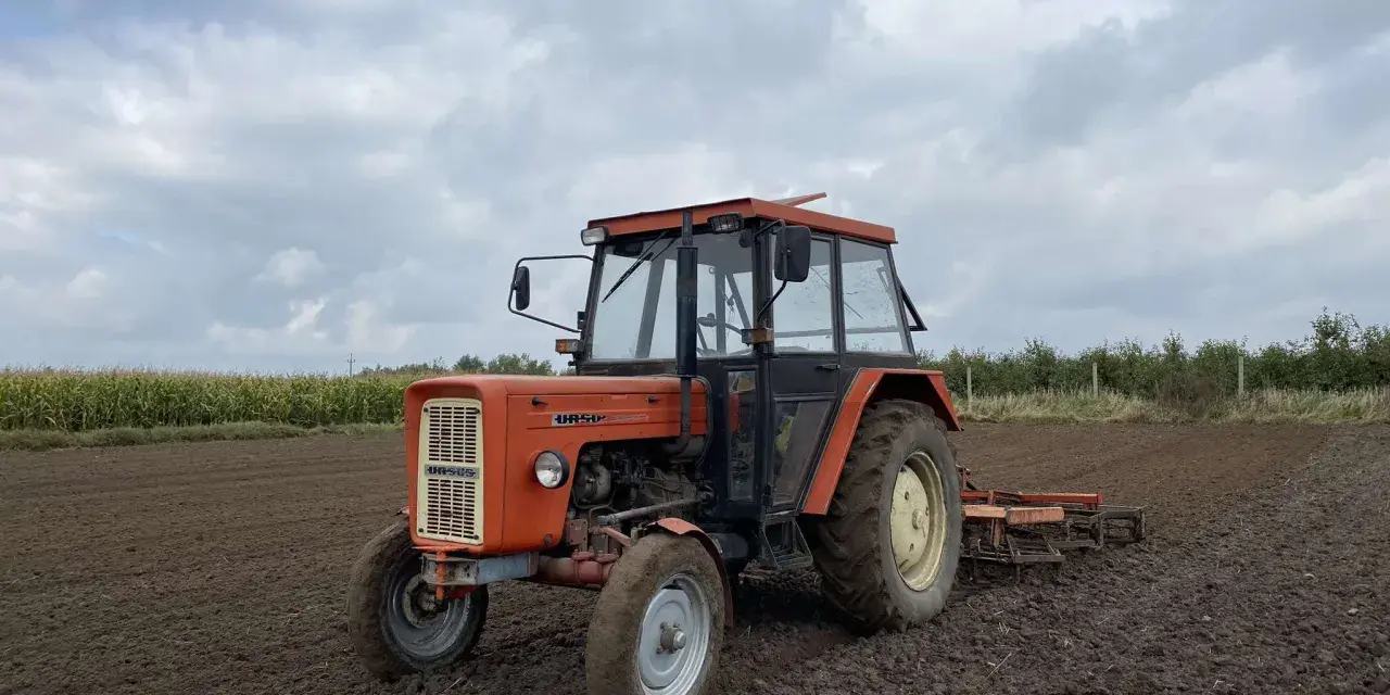 Pomarańczowy Ursus C-360 na polu, gotowy do pracy. Warto sprawdzić, ile oleju do silnika C-360 wlać przed sezonem.