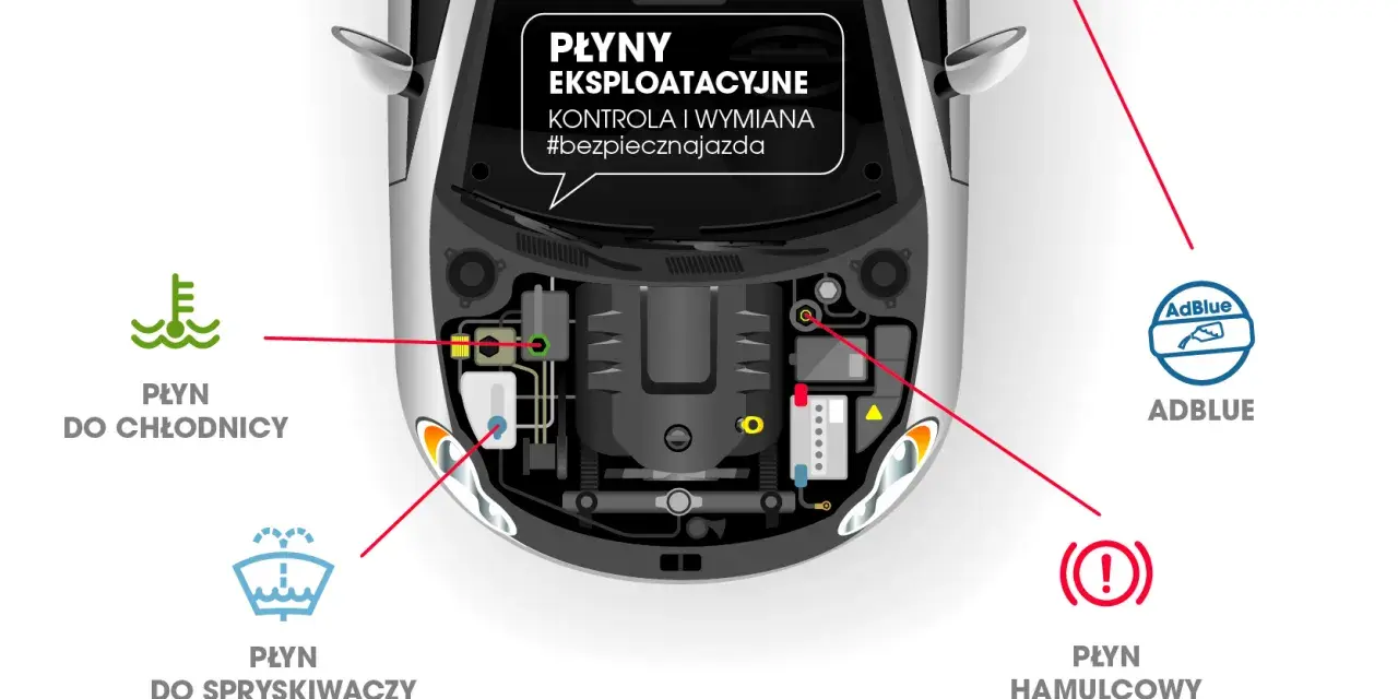Schemat komory silnika z zaznaczonymi płynami eksploatacyjnymi: chłodniczym, do spryskiwaczy, AdBlue i płynem hamulcowym.
