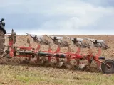 Ciągnik z pługiem orze pole. Widać pracujące lemiesze, które odwracają ziemię. Prędkość orki jest optymalna dla tej maszyny.