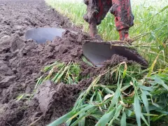 Pług z przedpłużkami w akcji. Dowiedz się, jak ustawić przedpłużki w pługu, by orka była efektywna.