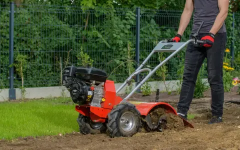 Osoba w rękawiczkach obsługuje czerwoną glebogryzarkę spalinową, spulchniając ziemię w ogrodzie. Dowiedz się, jak używać glebogryzarki spalinowej.