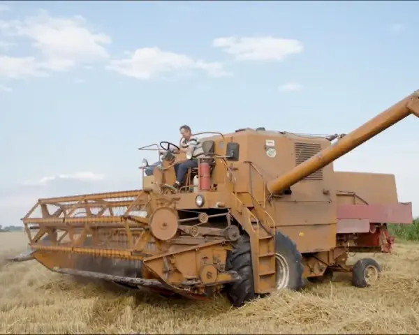 Kombajn zbożowy w akcji. Rolnik za sterami, a pytanie brzmi, ile pali bizon na hektar?