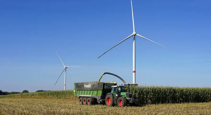 Zielone Fendt 310 z przyczepą zbiera kukurydzę pod wiatrakami. Dane techniczne tej maszyny pozwalają na wydajną pracę.
