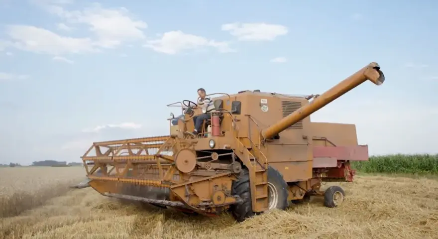 Kombajn zbożowy w akcji. Rolnik za sterami, a pytanie brzmi, ile pali bizon na hektar?
