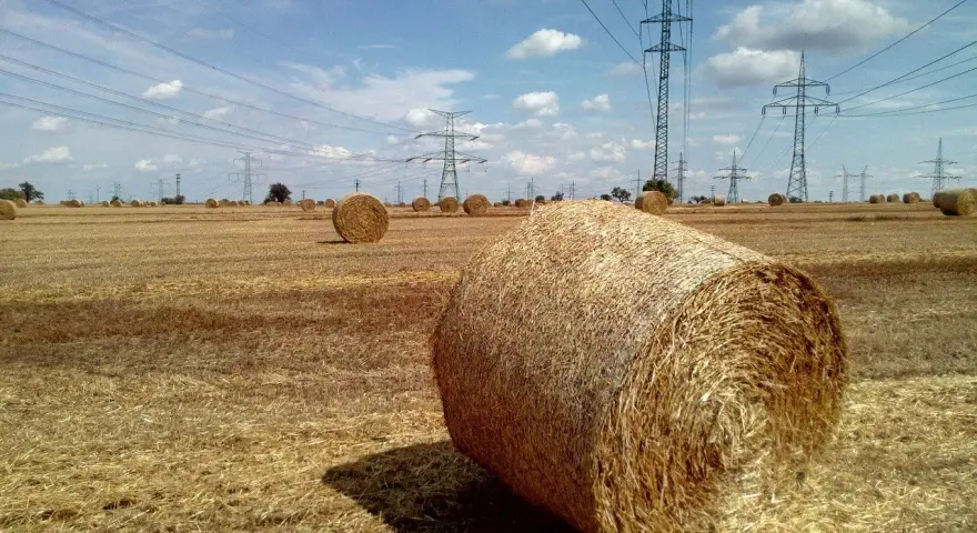 Pole pełne słomy, gdzie każdy balot, choć nie wiemy ile waży, stanowi część krajobrazu pod liniami energetycznymi.