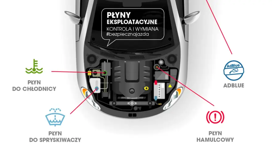Schemat komory silnika z zaznaczonymi płynami eksploatacyjnymi: chłodniczym, do spryskiwaczy, AdBlue i płynem hamulcowym.