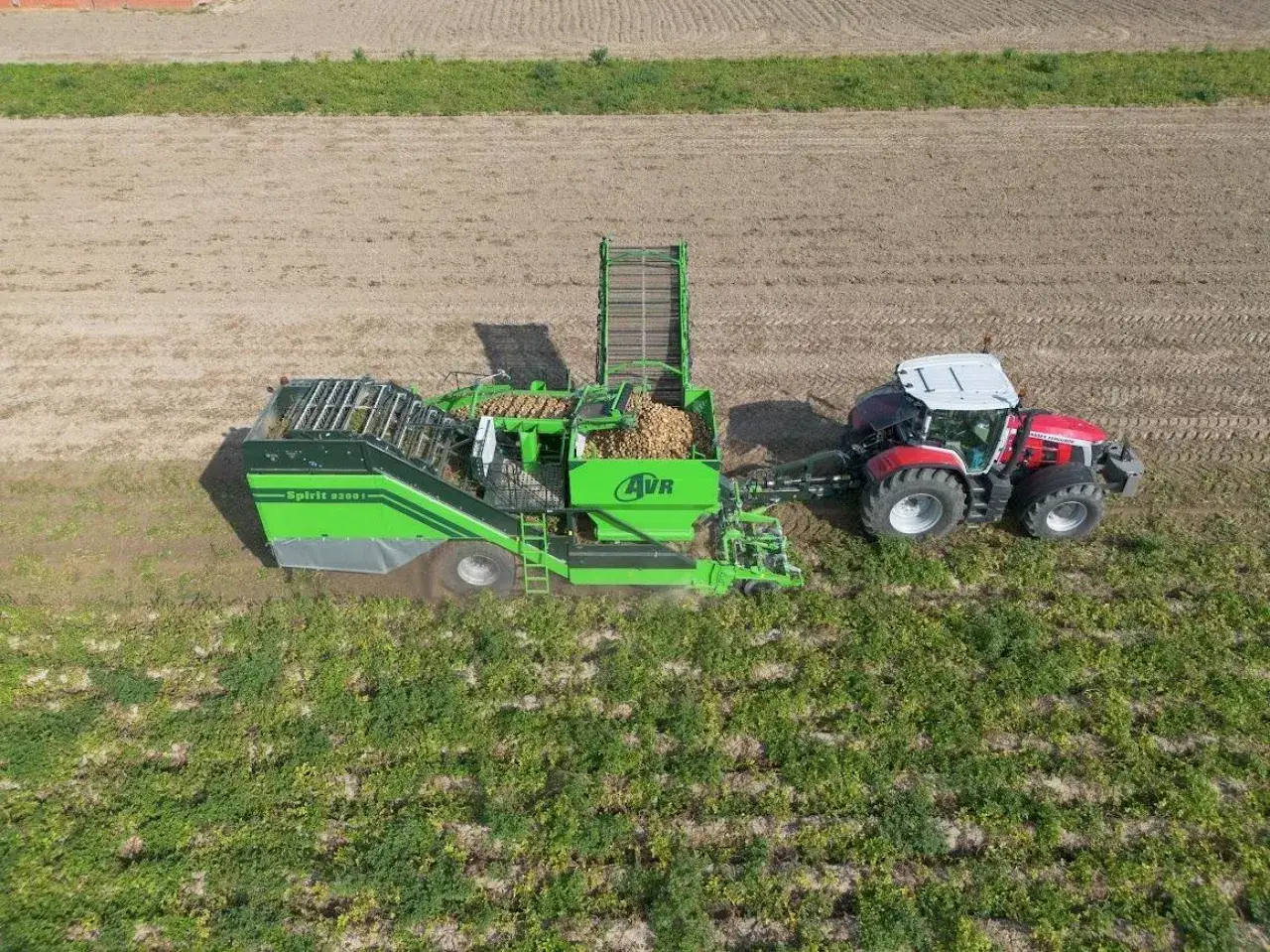 Kombajn AVR Spirit 9200 zbiera ziemniaki na polu. Czerwony traktor ciągnie zieloną maszynę, kt&oacute;ra wypełnia się plonami.