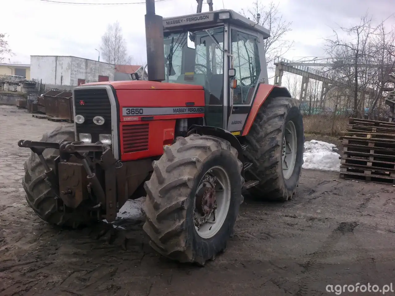 Czerwony ciągnik Massey Ferguson 3650, gotowy do pracy. Dane techniczne tego modelu są imponujące.