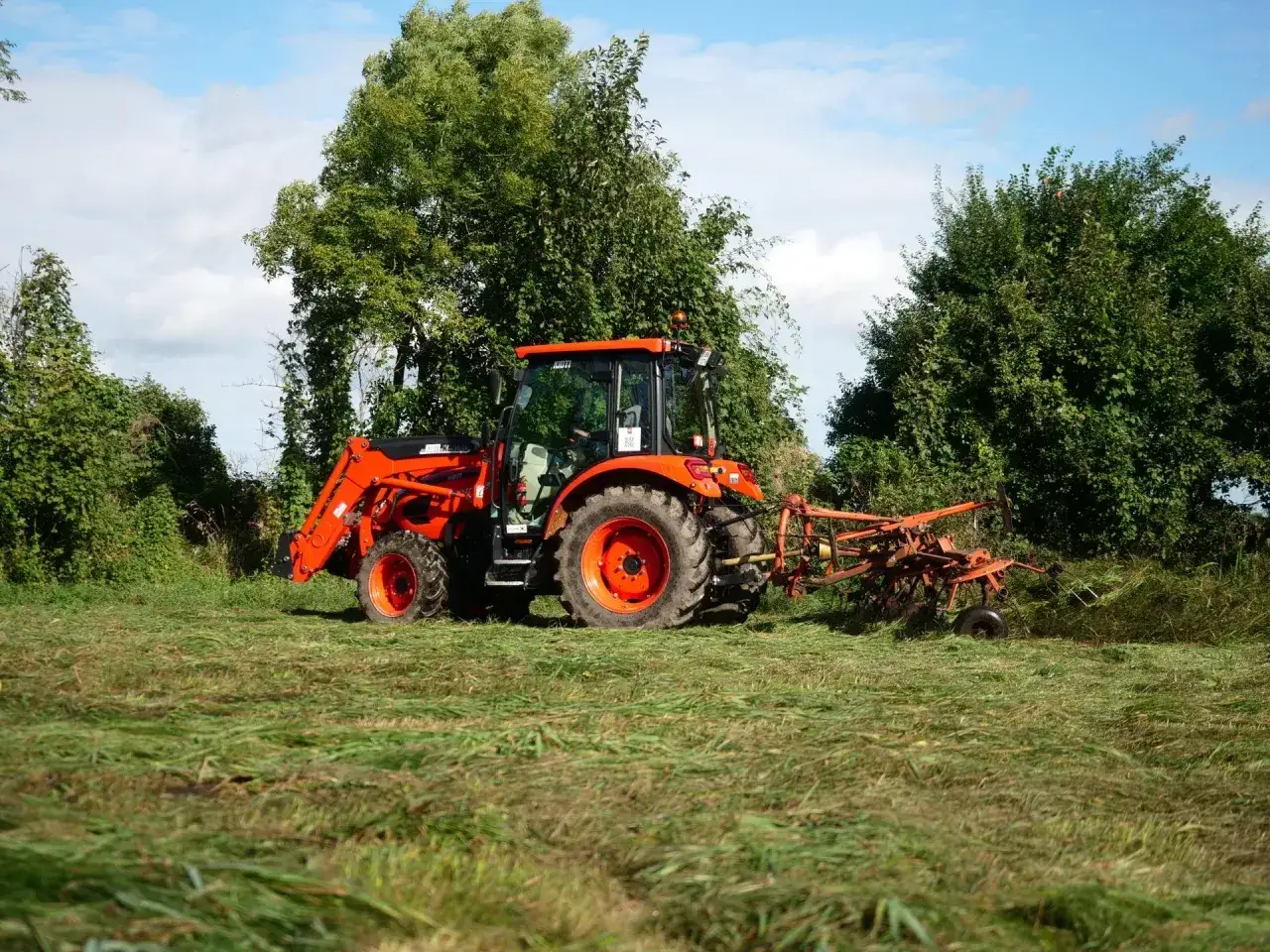 Pomarańczowy traktor z ładowaczem i zgrabiarką pracuje na łące, zbierając skoszoną trawę.